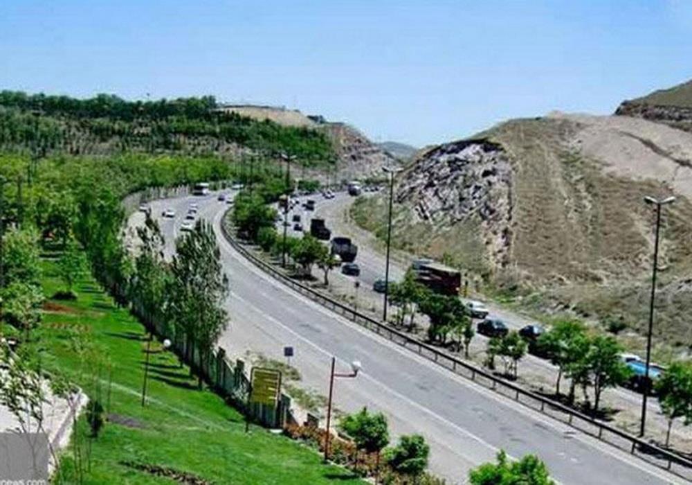 از نهال تا کمربند سبز