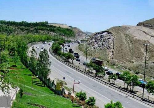 از نهال تا کمربند سبز