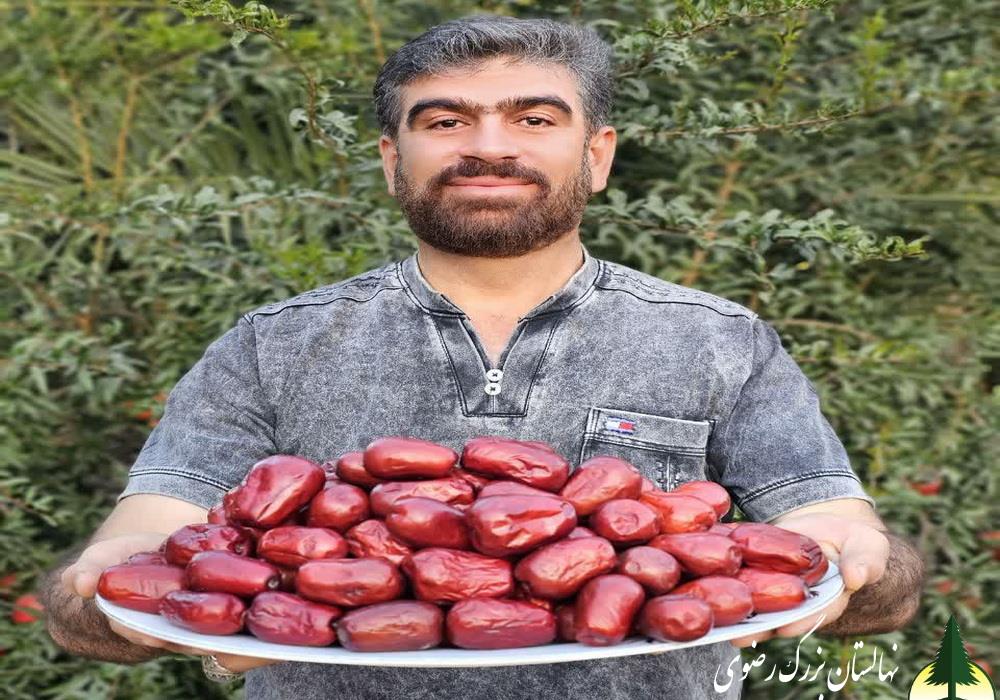 نهال عناب گلابی (lang)
